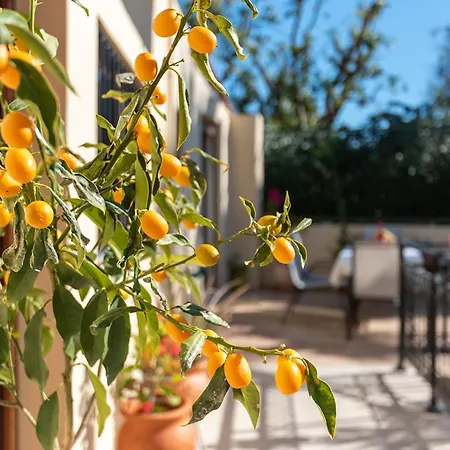 Apartman Maria's With Terrace, Close To The Kosz